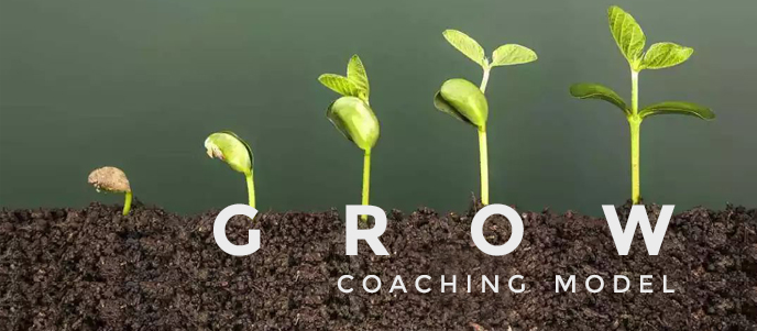 Bagaimana Memakai GROW Coaching Model, apa itu coaching, cara coaching, dan bagaimana menjadi coach dan tahap- tahap coaching yang benar
